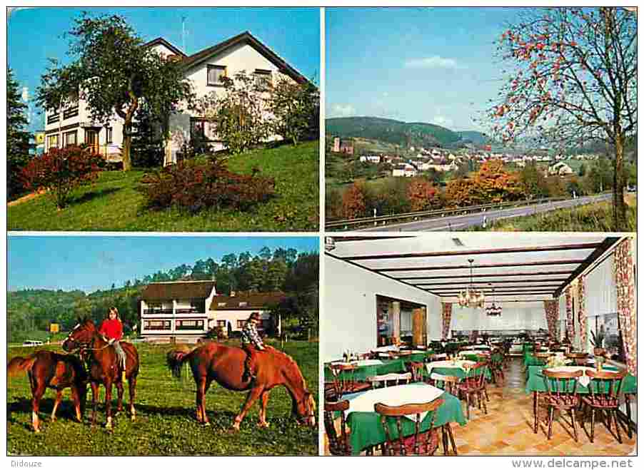 Animaux - Chevaux - Restaurant-Pension Schau Ins Land  - Bes M Jochem - Trassem - Saarburg - Multivues - Voir Scans Rect - Pferde