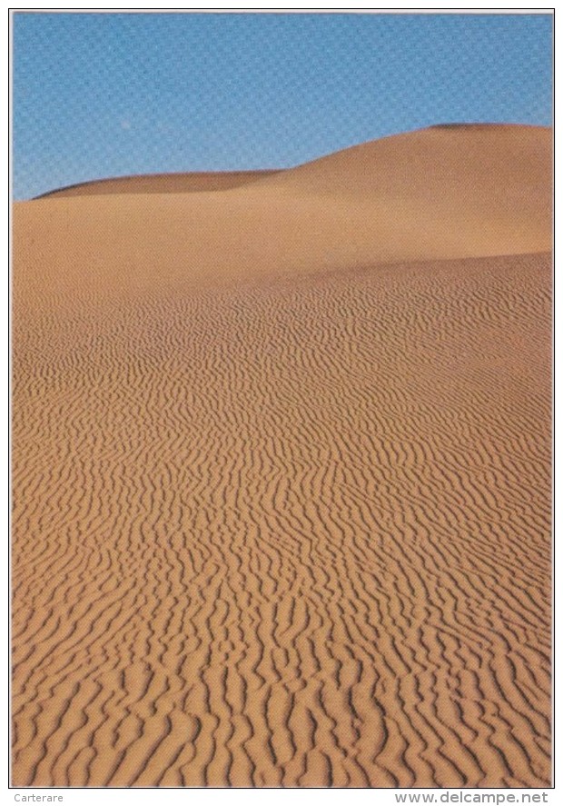 SAUDI ARABIA,ARABIE SAOUDITE,SAUDITA,ARAB EMIRATES,DESERT,SABLE,DUNE,EMPTY QUARTER - Saoedi-Arabië