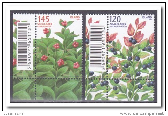 IJsland 2007, Postfris MNH, Plants - Ungebraucht