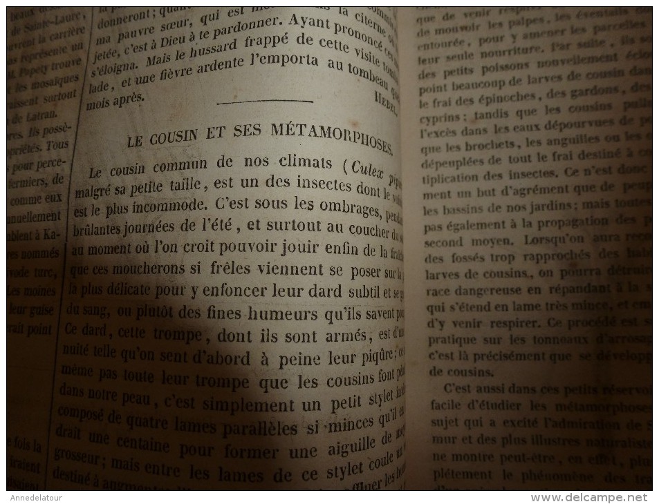 1847 MP : Le Mont Athos; Antomologie (le Cousin);Légendes Bibliques Des Musulmans; Rio De Janeiro ; Etc - 1800 - 1849