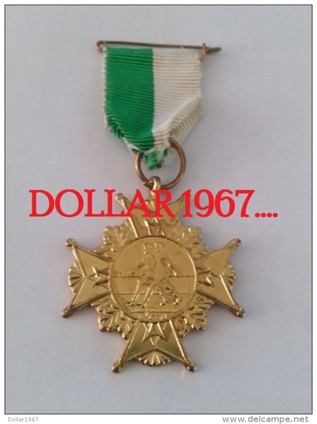 .medal - Medaille - Medaille : Medaille : Crackfree 1966 Friesland - Autres & Non Classés