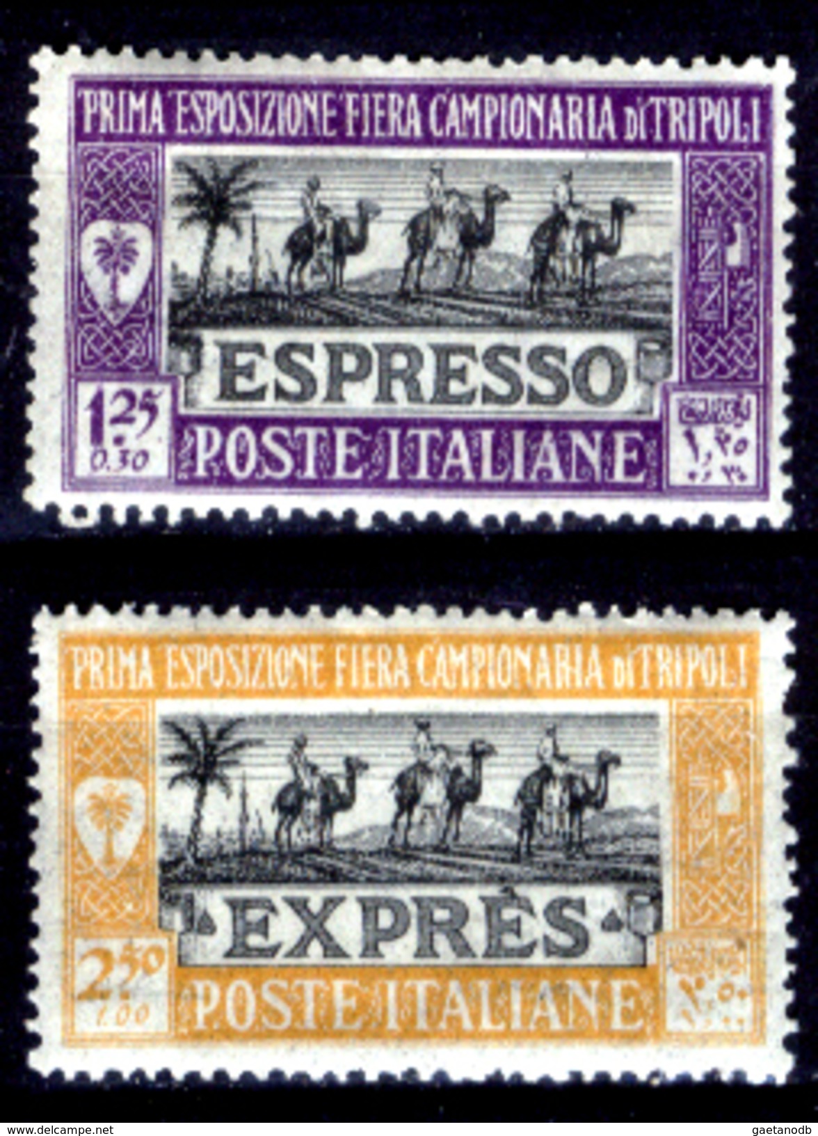 Italia-F01358 - Libia 1927: Espressi, Sassone N. 14/15(++) MNH - Privo Di Difetti Occulti. - Libya