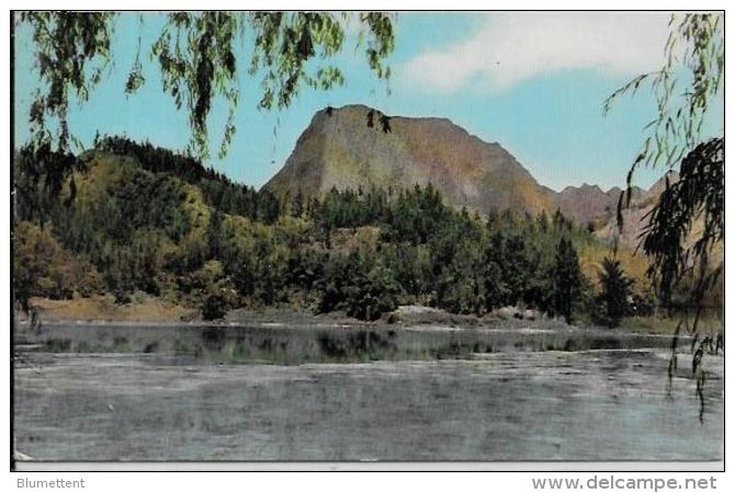 CPSM Ile De La Réunion écrite éditeur Photo Variétés Salazie - Andere & Zonder Classificatie