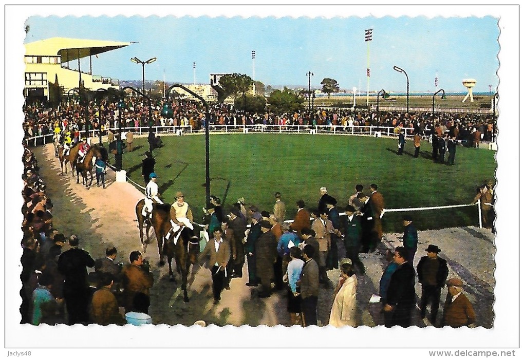 CROS DE CAGNES - CAGNES  (cpsm 06) Hippodrome Côte D'azur, Le Paddock, Grand Prix Des Amazones -  - L 1 - Autres & Non Classés