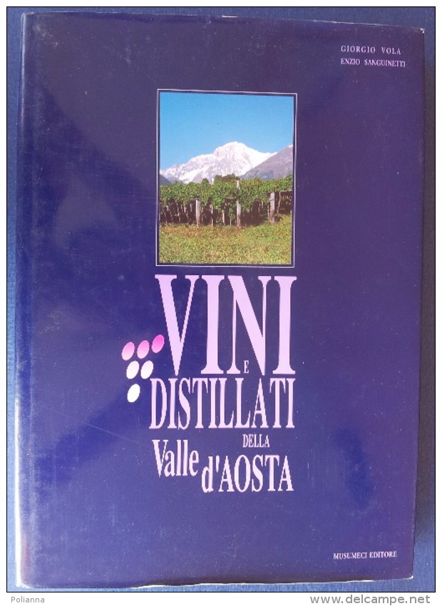 M#0S2 Vola-Sanguinetti VINI E DISTILLATI DELLA VALLE D'AOSTA Ed.1992/RICETTE CUCINA - Casa Y Cocina