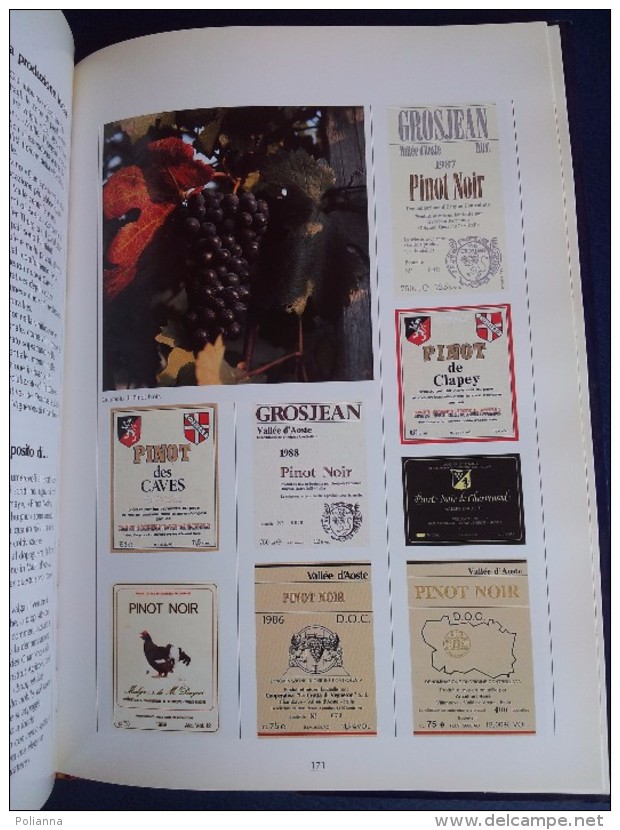 M#0S2 Vola-Sanguinetti VINI E DISTILLATI DELLA VALLE D'AOSTA Ed.1992/RICETTE CUCINA - Casa Y Cocina