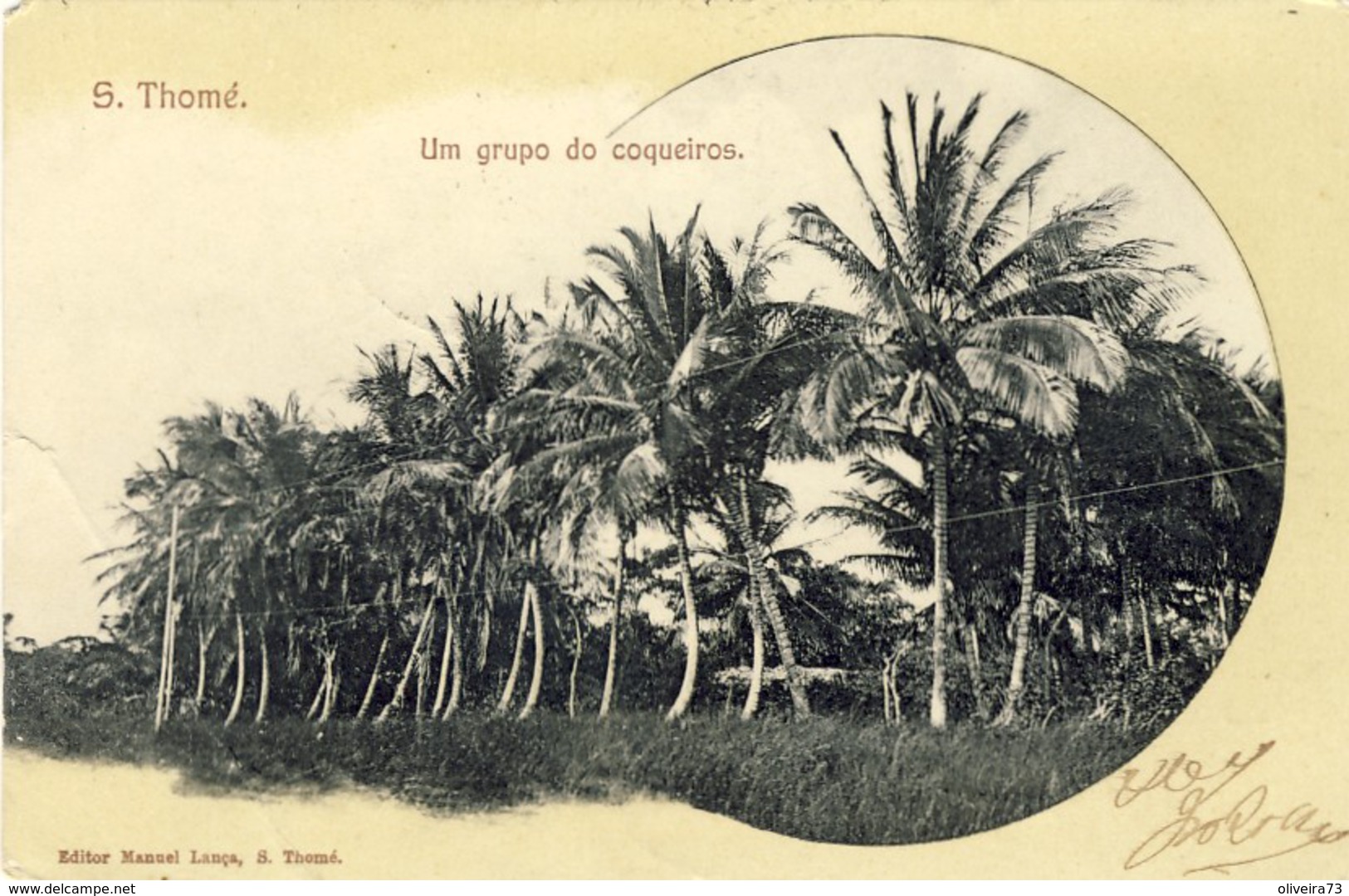 S. THOMÉ, SÃO TOMÉ, Um Grupo De Coqueiros (1906), 2 Scans - Sao Tome And Principe