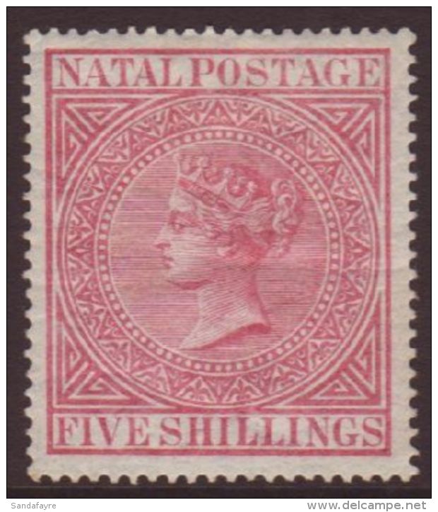 NATAL 1874-99 5s Rose SG 72, Fine Mint.  For More Images, Please Visit... - Zonder Classificatie