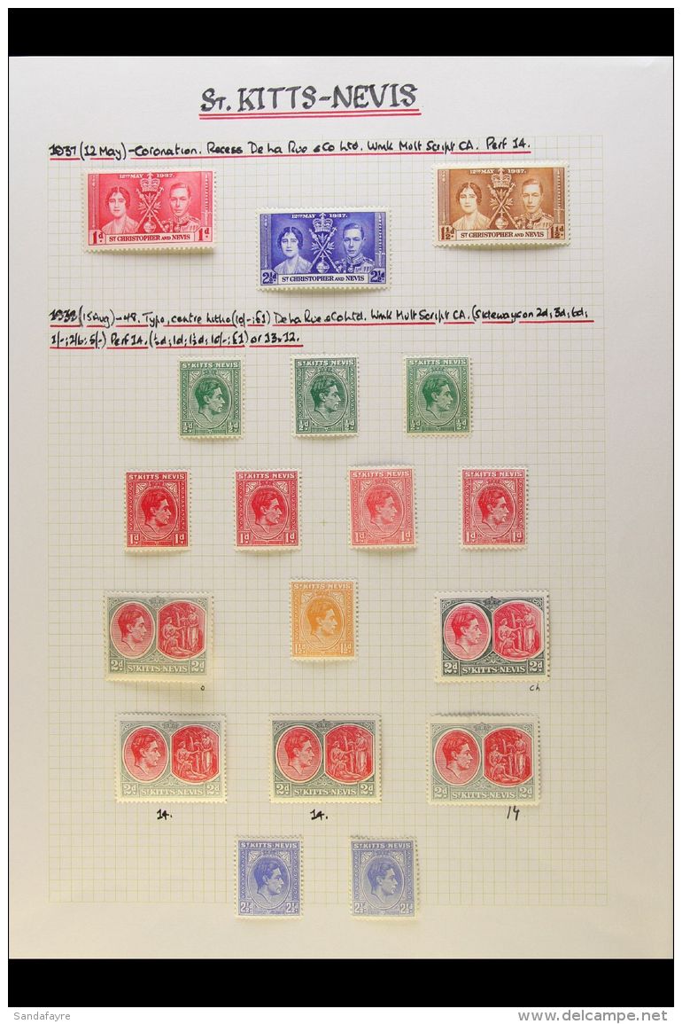 1937-1952 COMPLETE MINT COLLECTION On Leaves, Inc 1938-50 Set With Many Shades &amp; Perf/paper Types Inc 1d... - St.Kitts Und Nevis ( 1983-...)