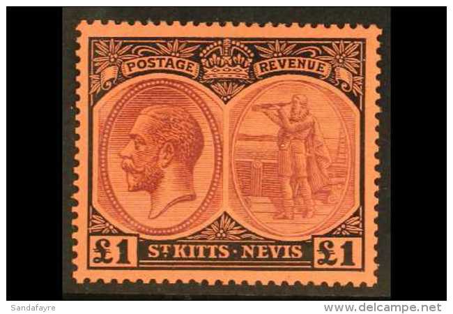 1920-22 &pound;1 Purple And Black / Red, SG 36, Superb Lightly Hinged Mint. For More Images, Please Visit... - St.Kitts En Nevis ( 1983-...)