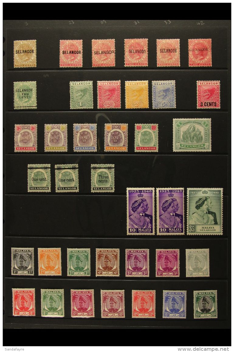 SELANGOR 1881-1978 MINT COLLECTION On A Pair Of Stock Pages. Includes 1881-2 2c Brown With Narrow Letters Ovpt... - Andere & Zonder Classificatie