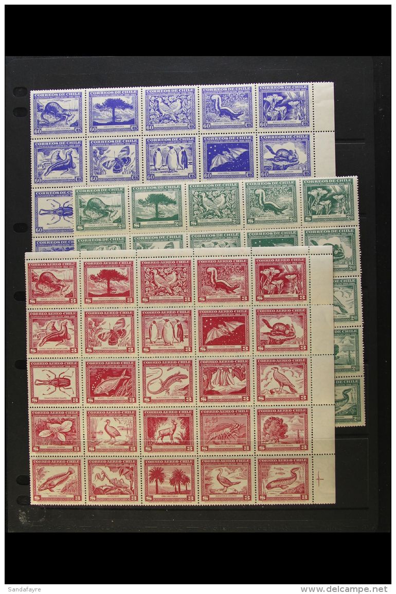 1948 Fauna Complete Set As Three SE-TENANT BLOCKS Of 25 (Scott 254a/y, 255a/y &amp; C124a/y, SG 381z/83z), Fine... - Chili