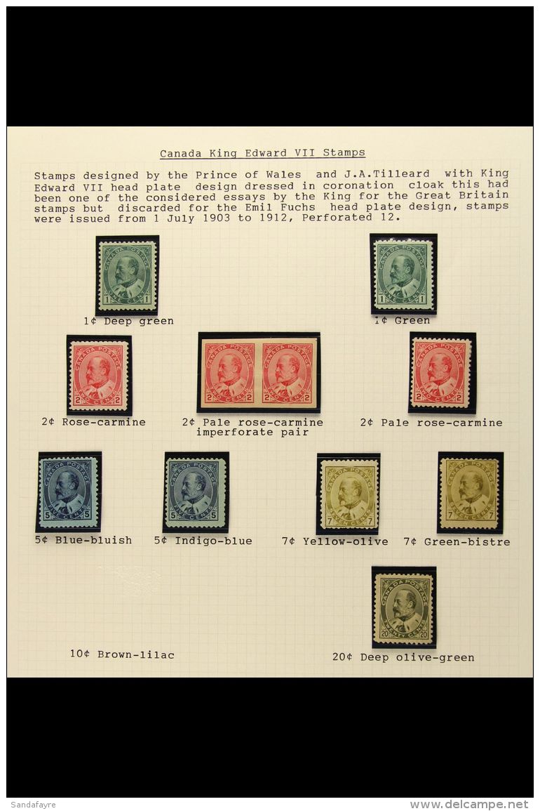 1903-12 KEVII Fresh Mint Range To 20c Deep Olive-green. Comprises 1c (2 Shades), 2c (2 Shades Plus Imperf Pair),... - Sonstige & Ohne Zuordnung