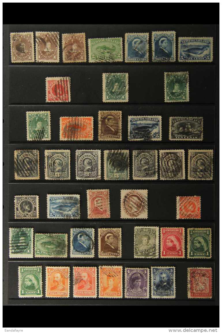 1880-1908 ALL DIFFERENT USED COLLECTION Includes 1880-82 Complete Set With All Three 1c Brown Shades And Both 3c... - Andere & Zonder Classificatie