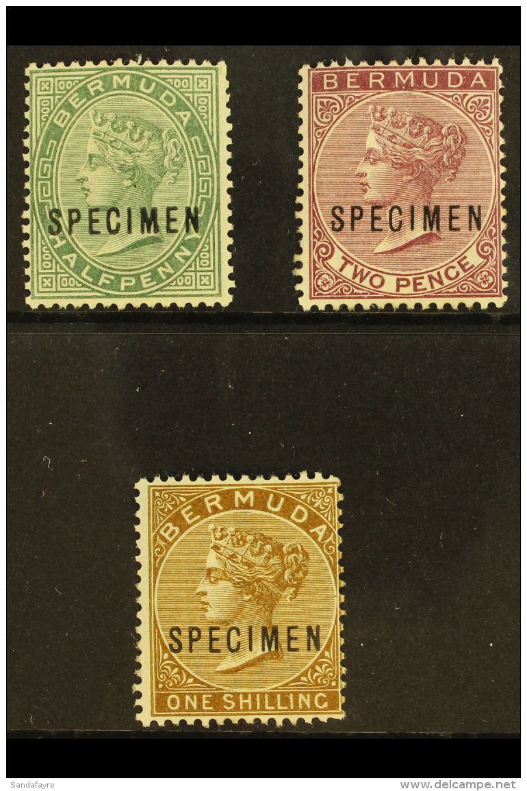 1883-1904 &frac12;d Green, 2d Aniline Purple And 1s Yellow Brown Overprinted "Specimen", SG 21s, 26s, 29s, Very... - Bermuda