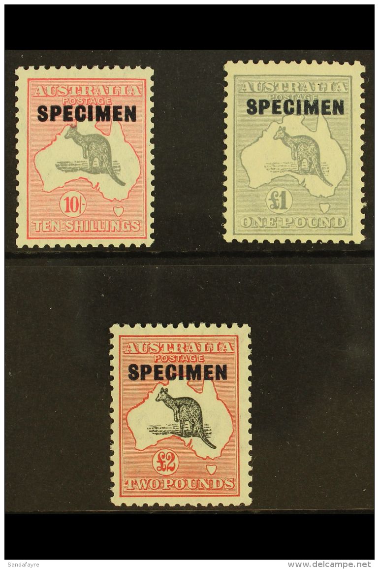 1931-36 10s, &pound;1, And &pound;2 Kangaroo Set With "SPECIMEN" Overprints, SG 136s/138s, Superb Never Hinged... - Andere & Zonder Classificatie