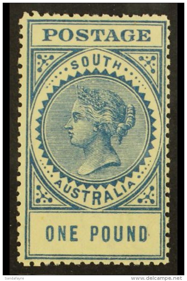 SOUTH AUSTRALIA 1904-11 &pound;1 Blue Perf 12&frac12; (small Holes), SG 292a, Very Fine Mint. For More Images,... - Sonstige & Ohne Zuordnung