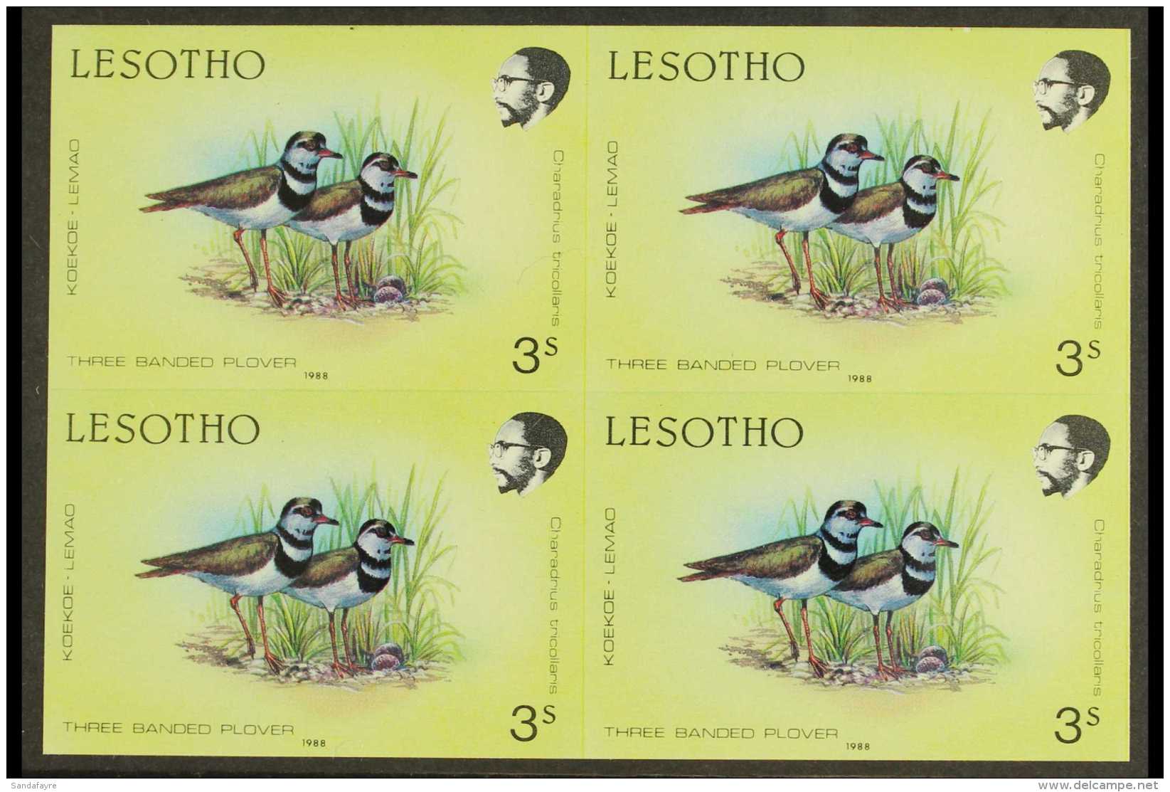 BIRDS 1988 Lesotho 3s Multicolour (Three Banded Plover) Imperf Block Of 4, As SG 792, Never Hinged Mint For More... - Ohne Zuordnung