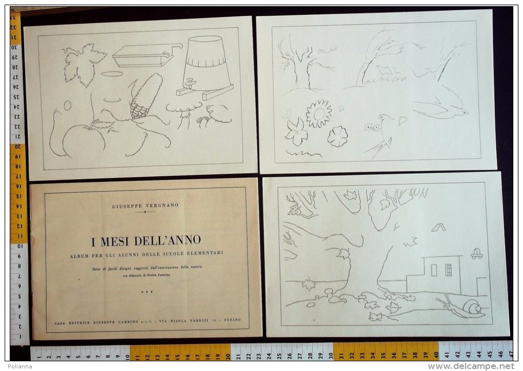 M#0S40 ALBO DISEGNI SCUOLA - G.Vergnano I MESI DELL'ANNO Ed.Gambino Anni '50 - Anciens