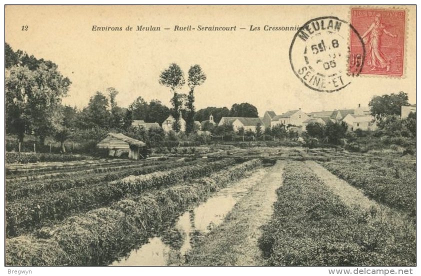 95 - CPA Reuil-Seraincourt  - Les Cressonnnières - Seraincourt