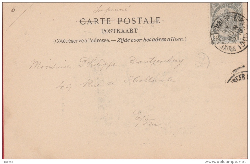 Braschaet Polygone ... Geen Titel ... - 1901  - 5-  ( Voir Verso ) - Brasschaat