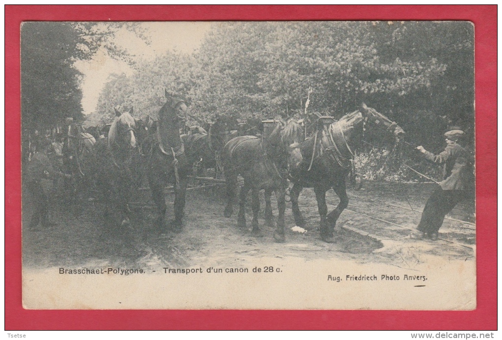 Brasschaet Polygone - Transport D'un Canon De 28 C - 1912 ( Voir Verso ) - Brasschaat