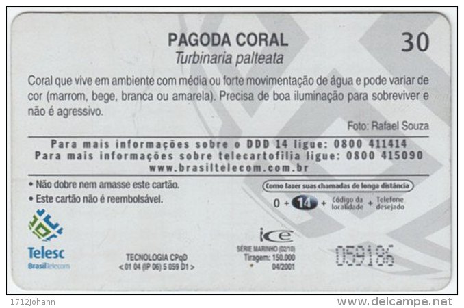 BRASIL B-437 Magnetic Telesc - Animal, Sea Life, Coral - Used - Brésil