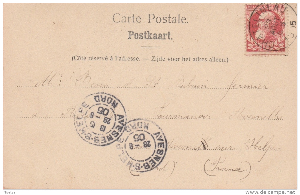 Châtelineau - Eglise Et Maison Communale - 1905 ( Voir Verso ) - Chatelet