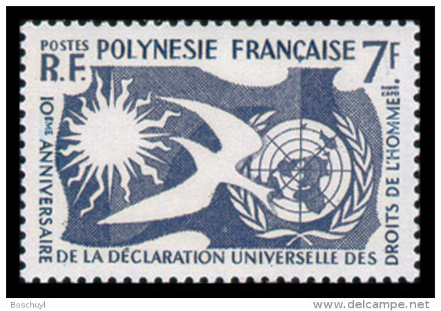 French Polynesia, 1958, Human Rights Declaration, 10th Anniversary, MNH, Michel 14 - Autres & Non Classés