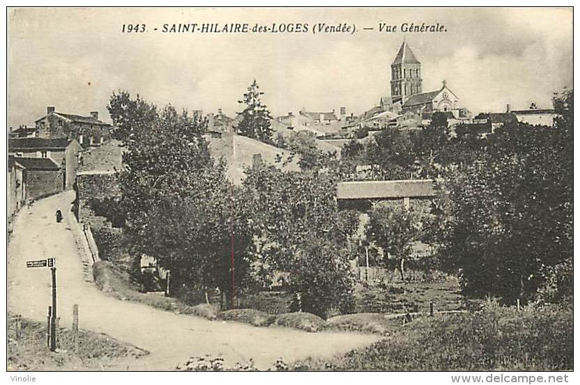 E-16 379 : SAINT HILAIRE DES LOGES - Saint Hilaire Des Loges