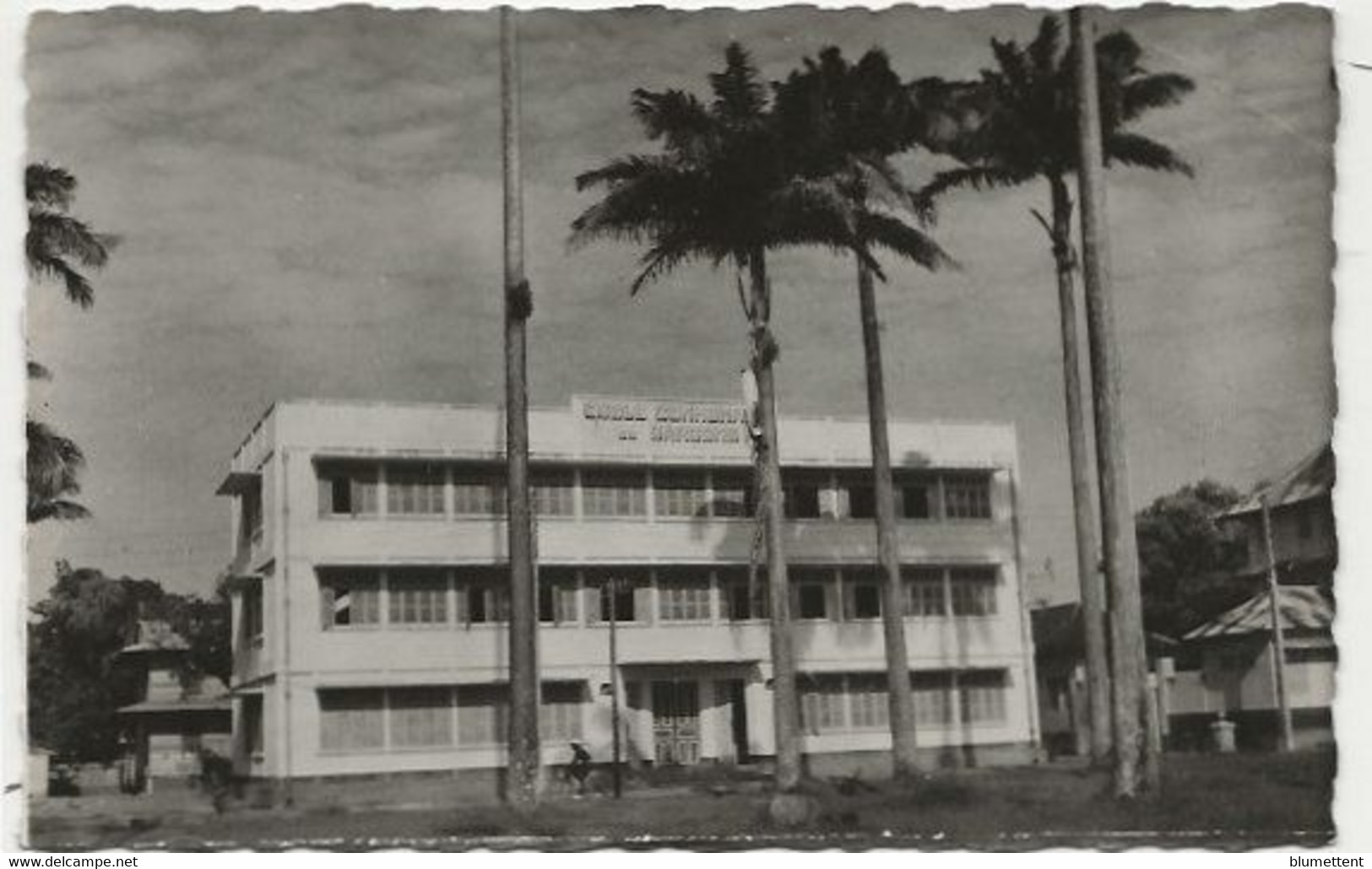 CPSM GUYANE Cayenne Non Circulé Gratien 8 école - Cayenne