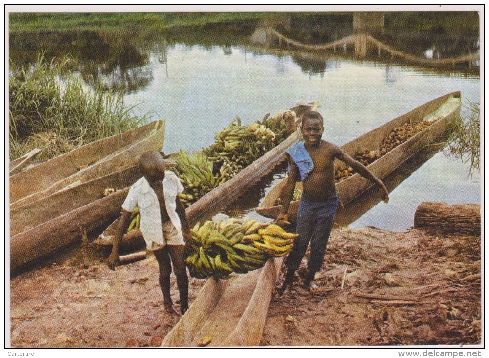 AFRIQUE NOIRE,AFRICA,AFRIKA,CAMEROUN,CAMEROON,ENFANTS AU TRAVAIL,TRANSPORT DE BANANES - Kameroen