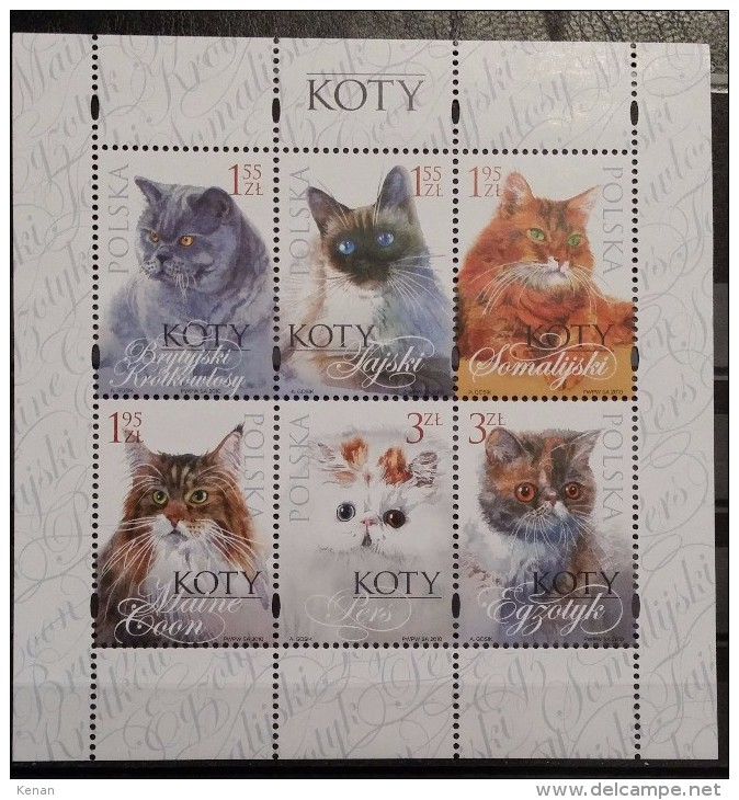 Poland, 2010, Mi: Block 191 (MNH) - Chats Domestiques