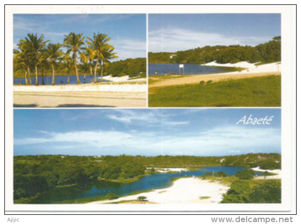 Lagoa Do Abaeté (Arbres De Noix De Coco Au Bord De L'étang),Bahia, Une Carte Postale Neuve, Non Circulée - Salvador De Bahia