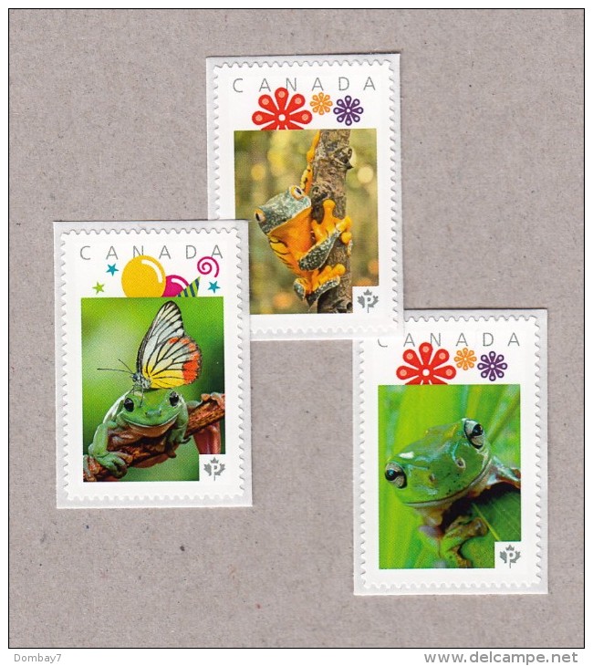 FROG Set Of 3 Picture Postage MNH Stamps Canada 2016 [p16/05fr3] - Frogs