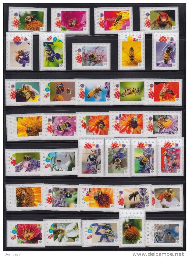 HONEYBEE, BEE, WASP, INSECTS Set Of 35 Picture Postage MNH Stamps Canada 2012-16 - Abejas