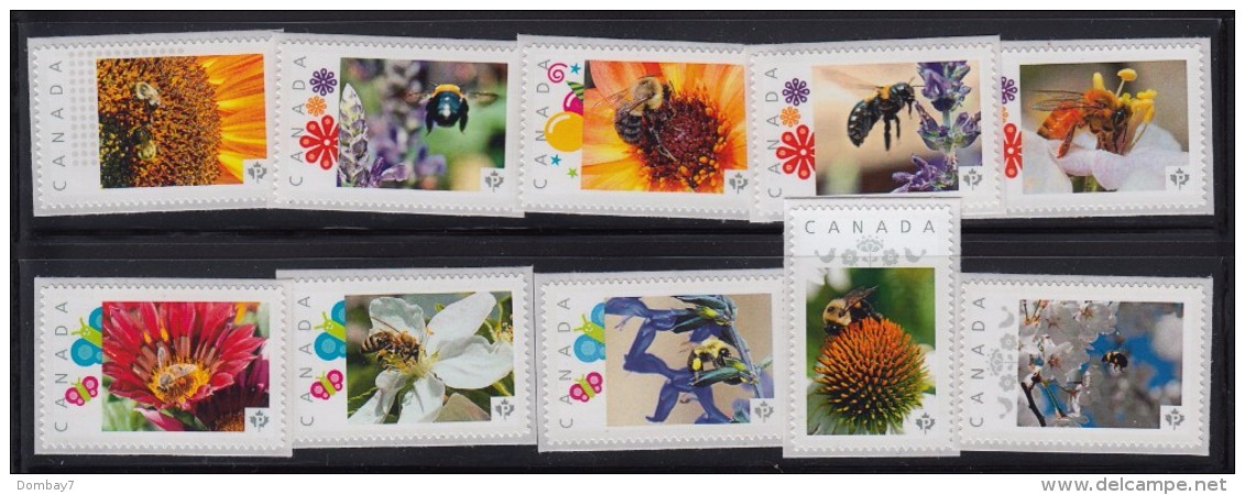 HONEYBEE, BEE, WASP, INSECTS Set Of 35 Picture Postage MNH Stamps Canada 2012-16 - Abejas