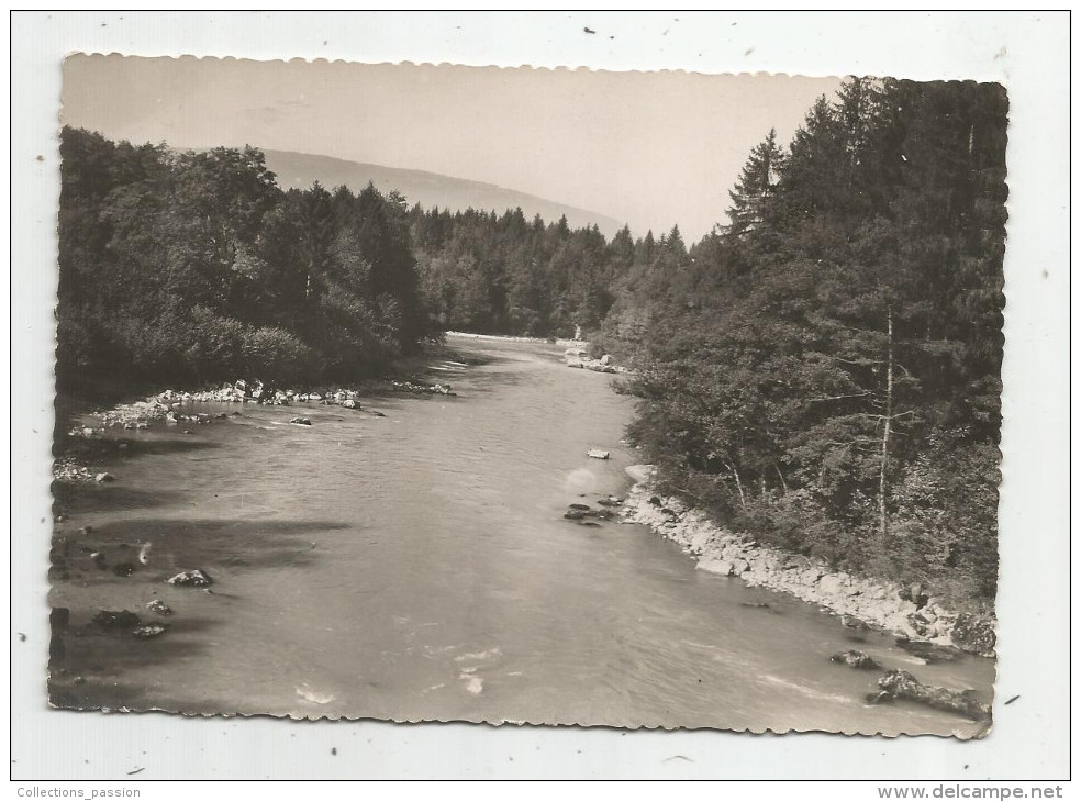 Cp , 74 , LA ROCHE SUR FORON , L'ARVE ,  AUX ENVIRONS DE LA ROCHE SUR FORON , Vierge , Ed : Cellard N° 5110 - La Roche-sur-Foron