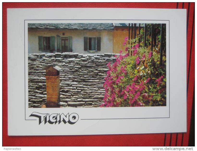 (Tenero (TI)) - Ticino Pittoresco - Tenero-Contra