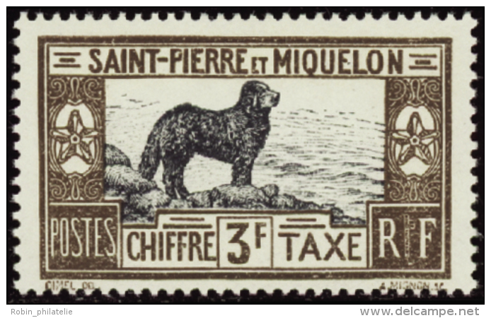 N°21 /31 Chien De Terre-Neuve 11 Valeurs   Qualité:** Cote:367&euro; - Altri & Non Classificati