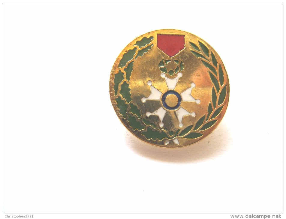 PINS DES MEDAILLES DE LA LEGION D'HONNEUR  ETAT EXCELLENT - Militaria