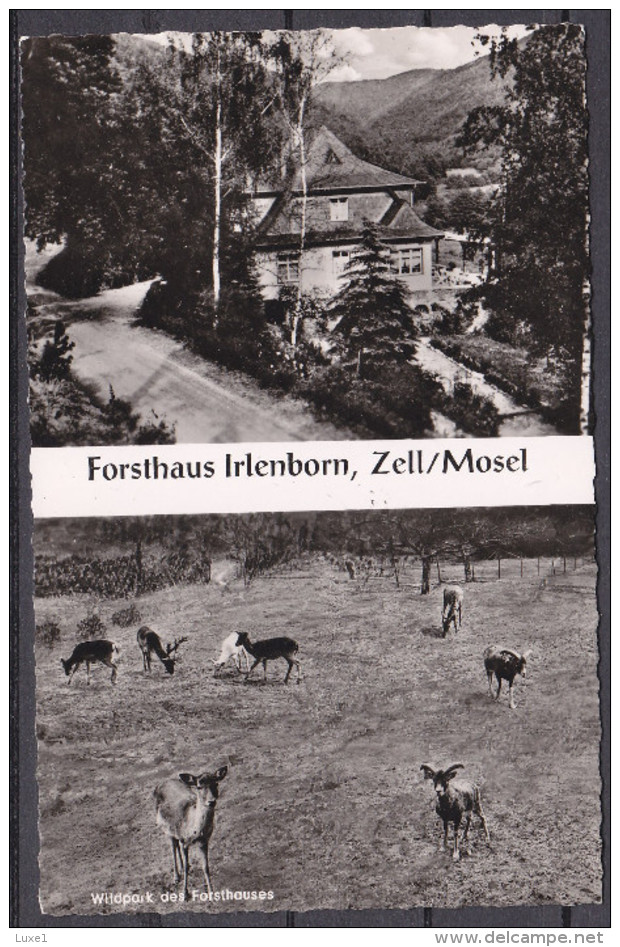 GERMANY , IRLENBORN , ZELL ,  OLD  POSTCARD - Zell