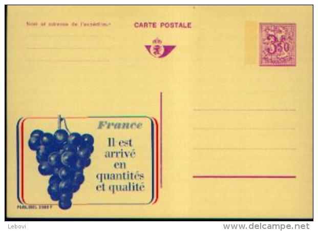 Carte Postale Neuve PUBLIBEL 2560F France RAISINS - Publibels