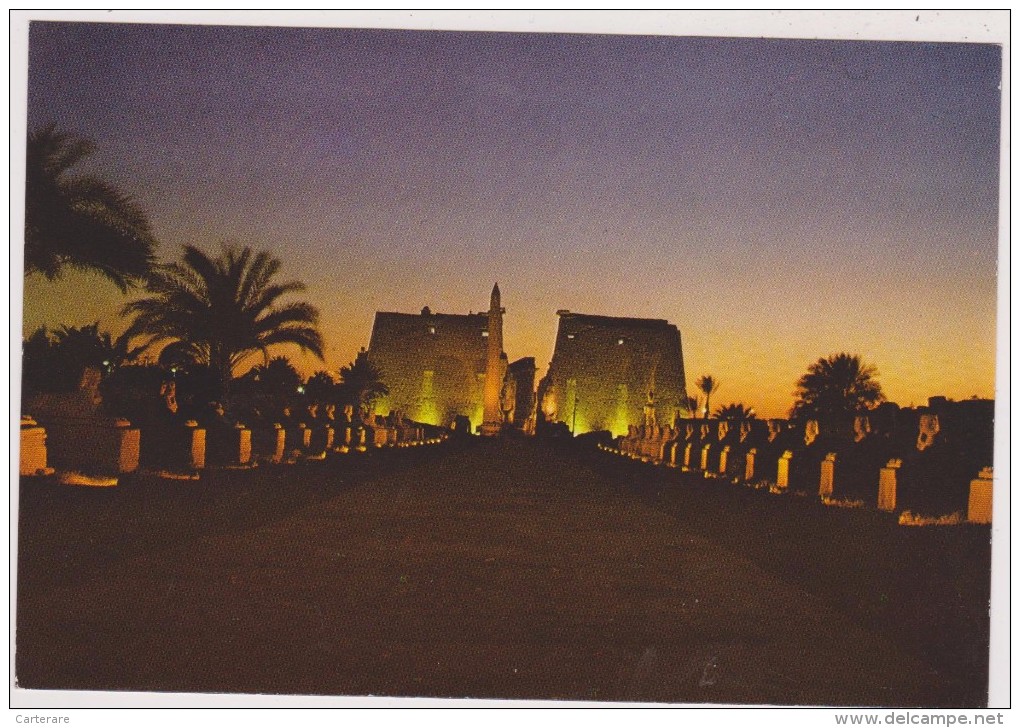 EGYPTE,EGYPT,LUXOR,LOUXOR,TEMPLE,NUIT,KARNAK - Sonstige & Ohne Zuordnung