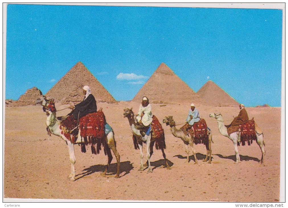 EGYPTE,pyramide De GUIZEH,GIZA,guizé,al-gizah,prés Nil,caire,khéops,kléphren ,sphinx,site Classé,caravane - Other & Unclassified