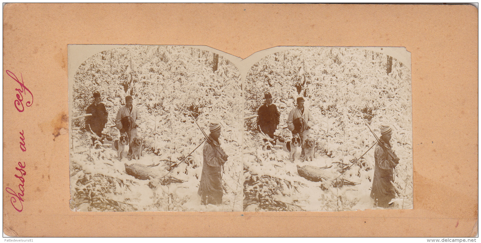 Photo Stéréoscopique  "La Chasse Au Cerf" Hunt Cervidé  Et Au Dos "LE TRIANON" Statue  Chasse Au Sanglier - Stereoscopic