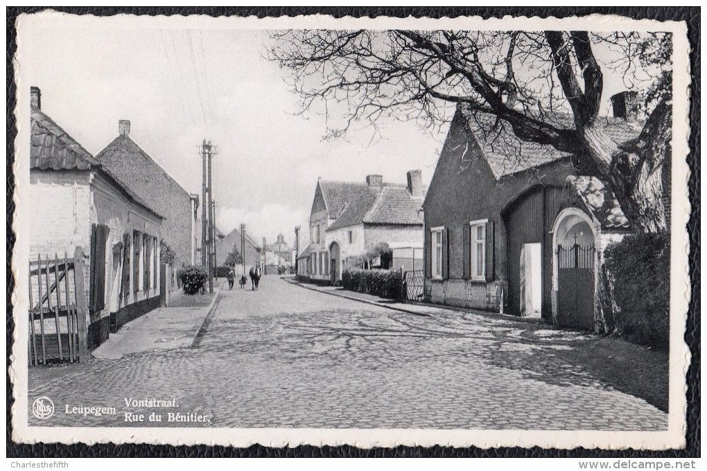 Leupegem - ( Oudenaarde ) Vontstraat.Rue Du Bénitier - Uitg.Bestuursdrukkerij Vandevelde & Zoon Leupegem - Oudenaarde