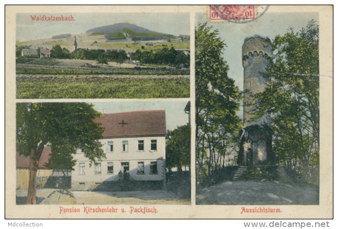 DE WALDBRUNN / Waldkatzenbach, Pension Kirschenlohr U. Packfisch, Aussichtsturm / - Waldbrunn