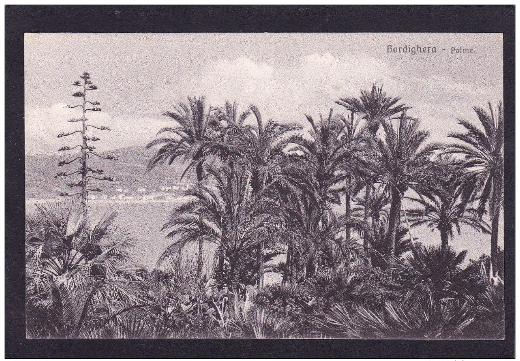 Old Post Card Of Palme, Bordighera, Liguria, Italy,K22. - Imperia