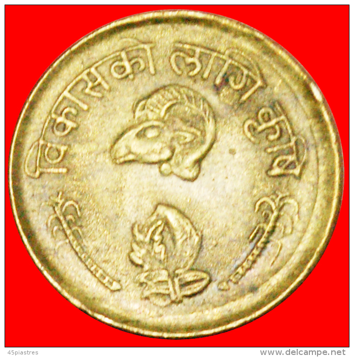 § SHEEP: NEPAL &#9733; 10 PAISA 2033 (1976)! LOW START &#9733; NO RESERVE! Birendra (1971-2001) - Nepal